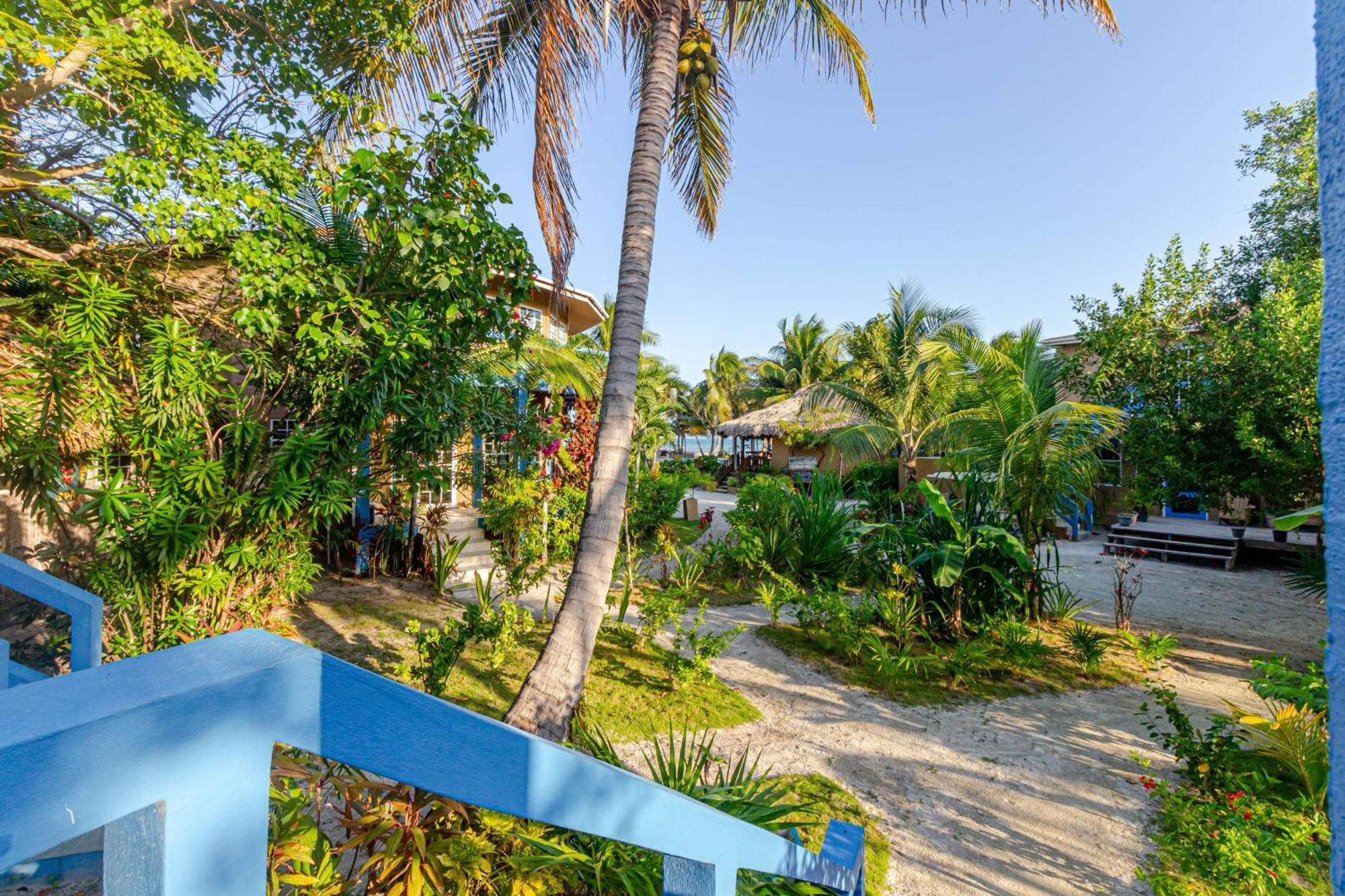 White Sands Cove San Pedro  Habitación foto